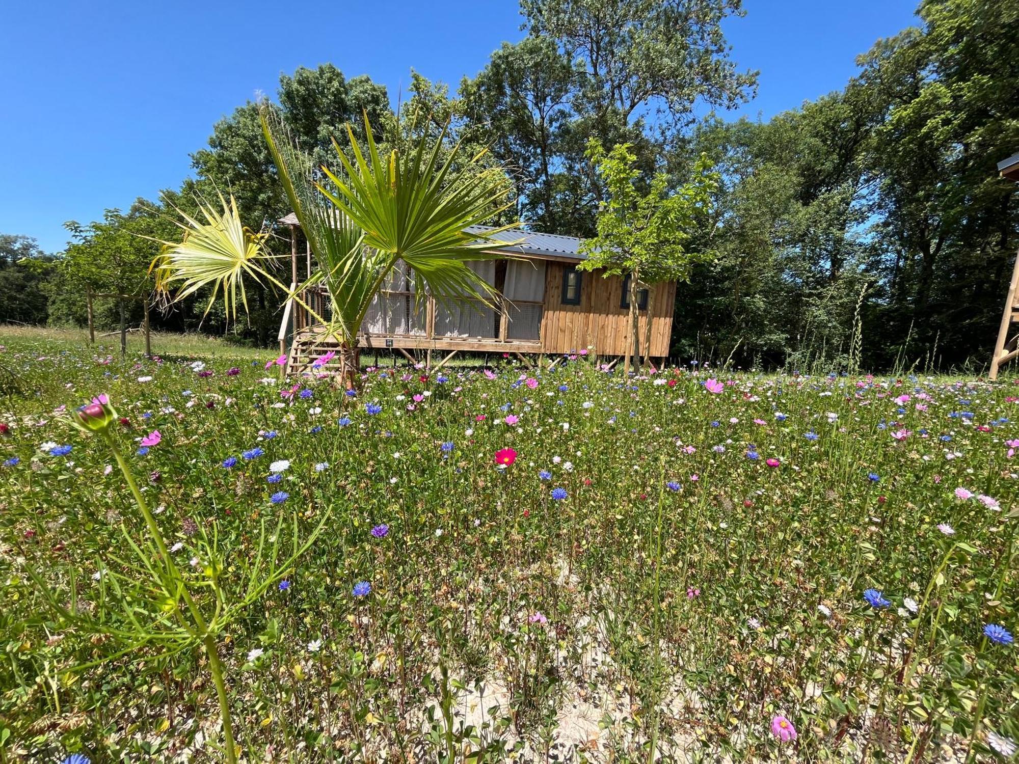 La Buissonniere Lodges Chisseaux 외부 사진