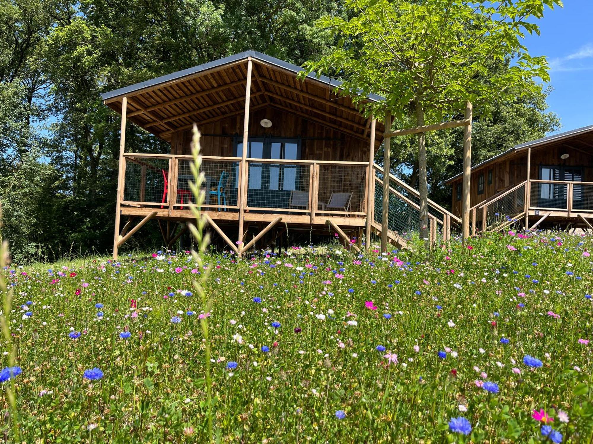 La Buissonniere Lodges Chisseaux 외부 사진